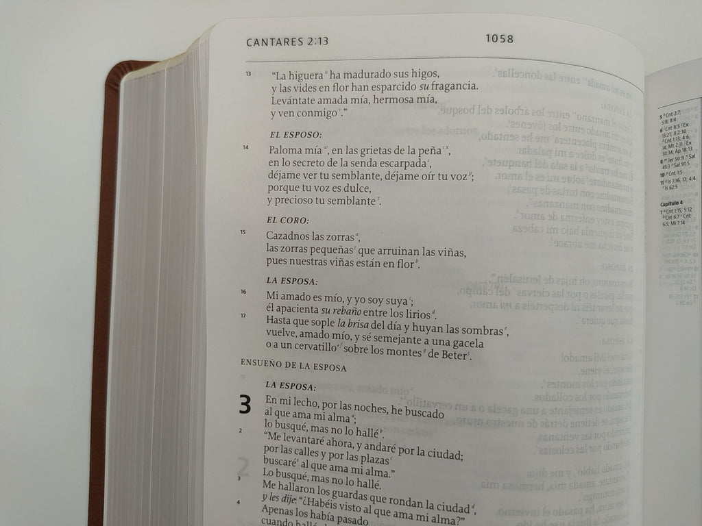 Biblia de Estudio de la Reforma LBLA i/piel café con estuche