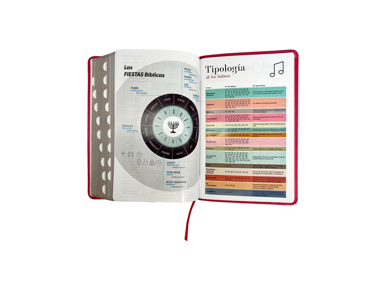 Biblia RVR60 Tamaño Manual Letra Grande fucsia
