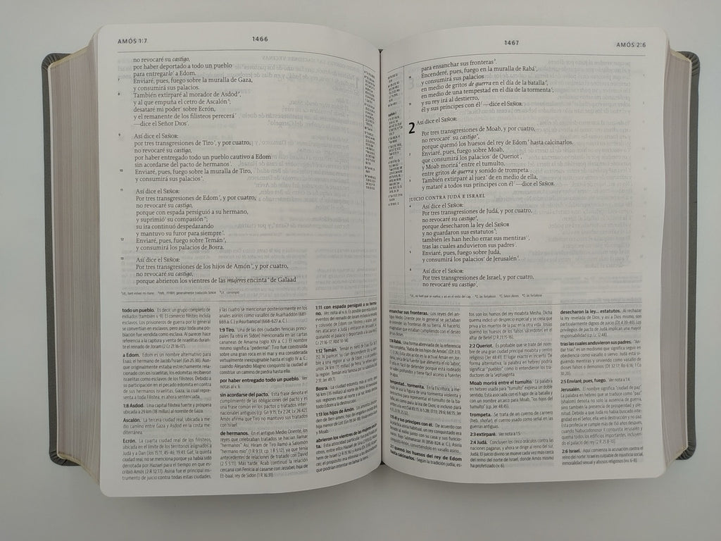 Biblia LBLA de Estudio de la Reforma Gris Claro Símil Piel