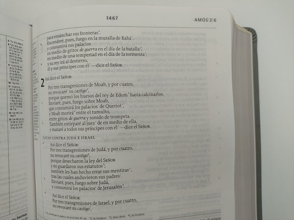 Biblia LBLA de Estudio de la Reforma Gris Claro Símil Piel