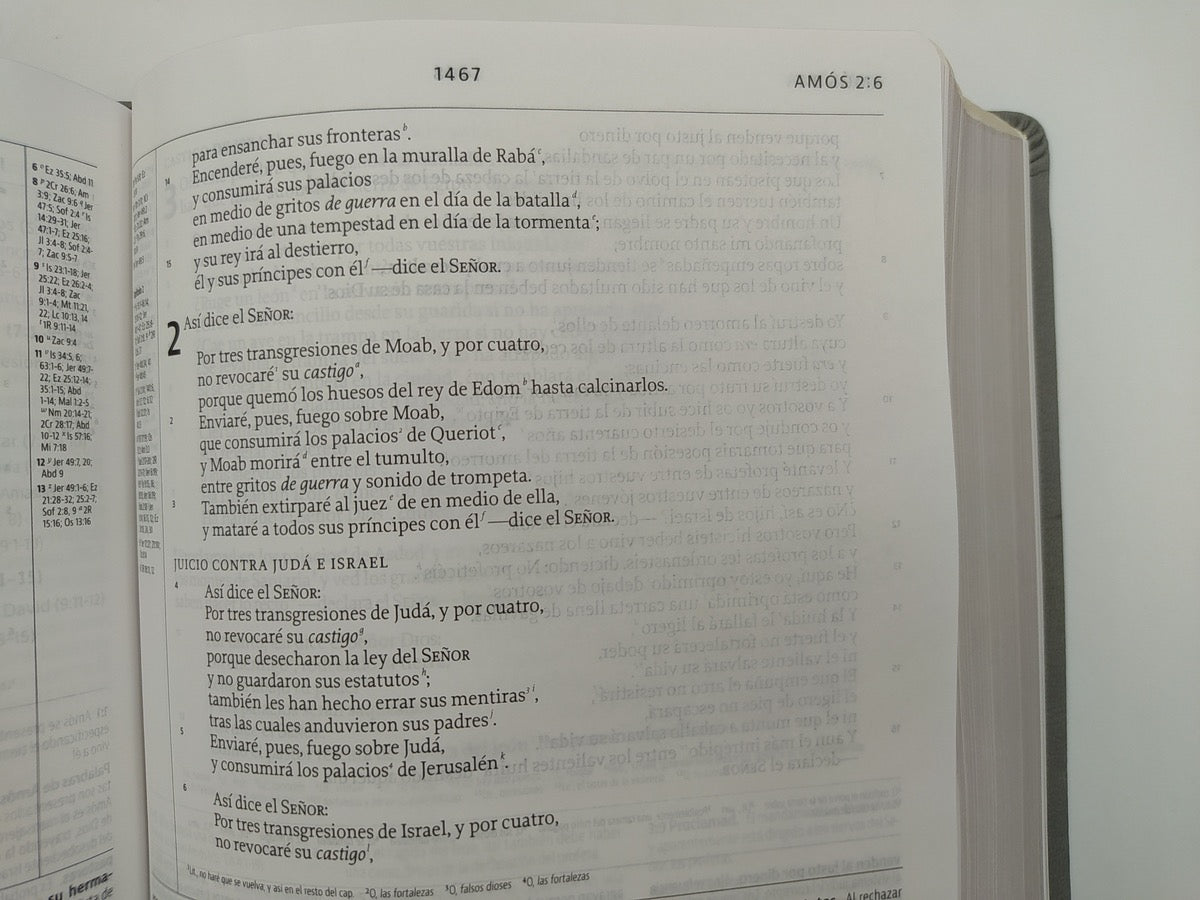 Biblia LBLA de Estudio de la Reforma Gris Claro Símil Piel