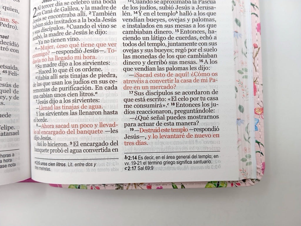 Biblia NVI Peninsular Portátil Letra Grande Floral rosado