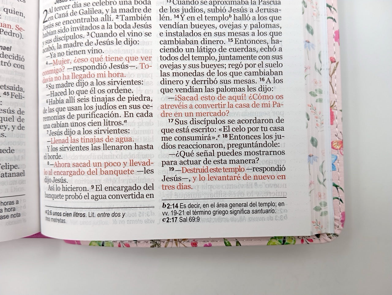 Biblia NVI Peninsular Portátil Letra Grande Floral rosado