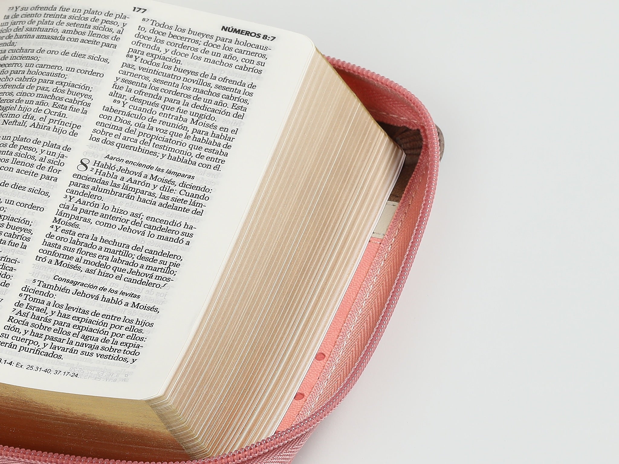 Biblia RVR60 de bolsillo Primor Café