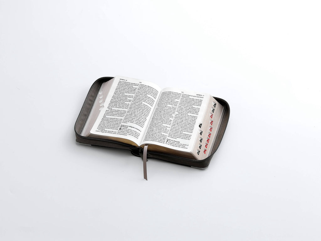 Biblia RVR60 Tamaño compacto Letra Grande 12 puntos león