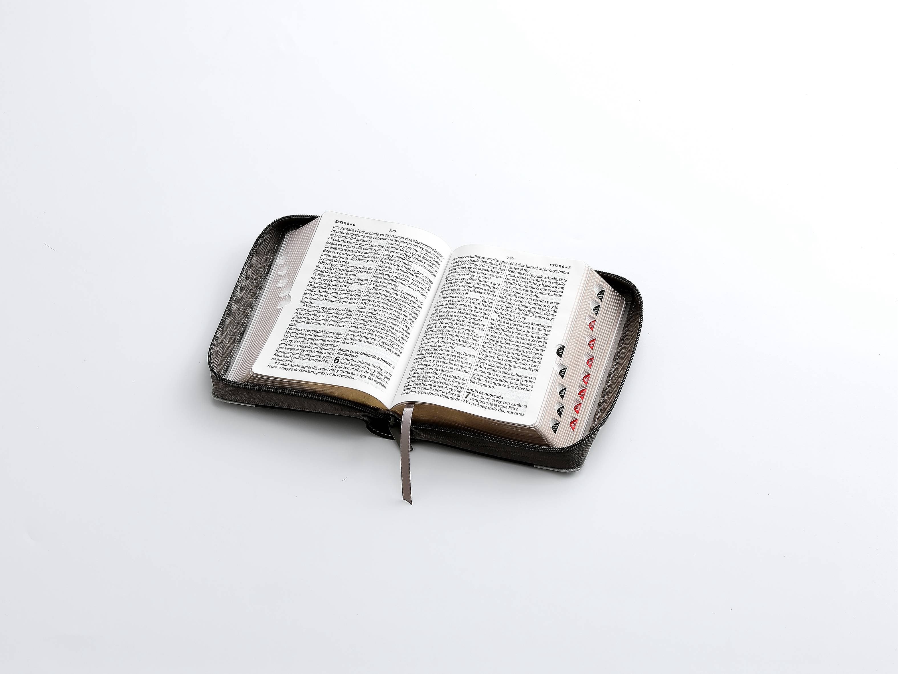 Biblia RVR60 Tamaño compacto Letra Grande 12 puntos león