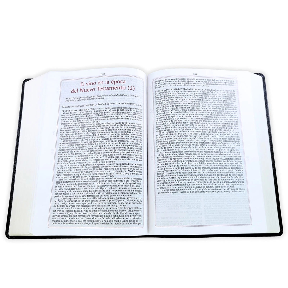 Biblia RVR 1960 de Estudio de la Vida Plena Piel Fabricada Negro