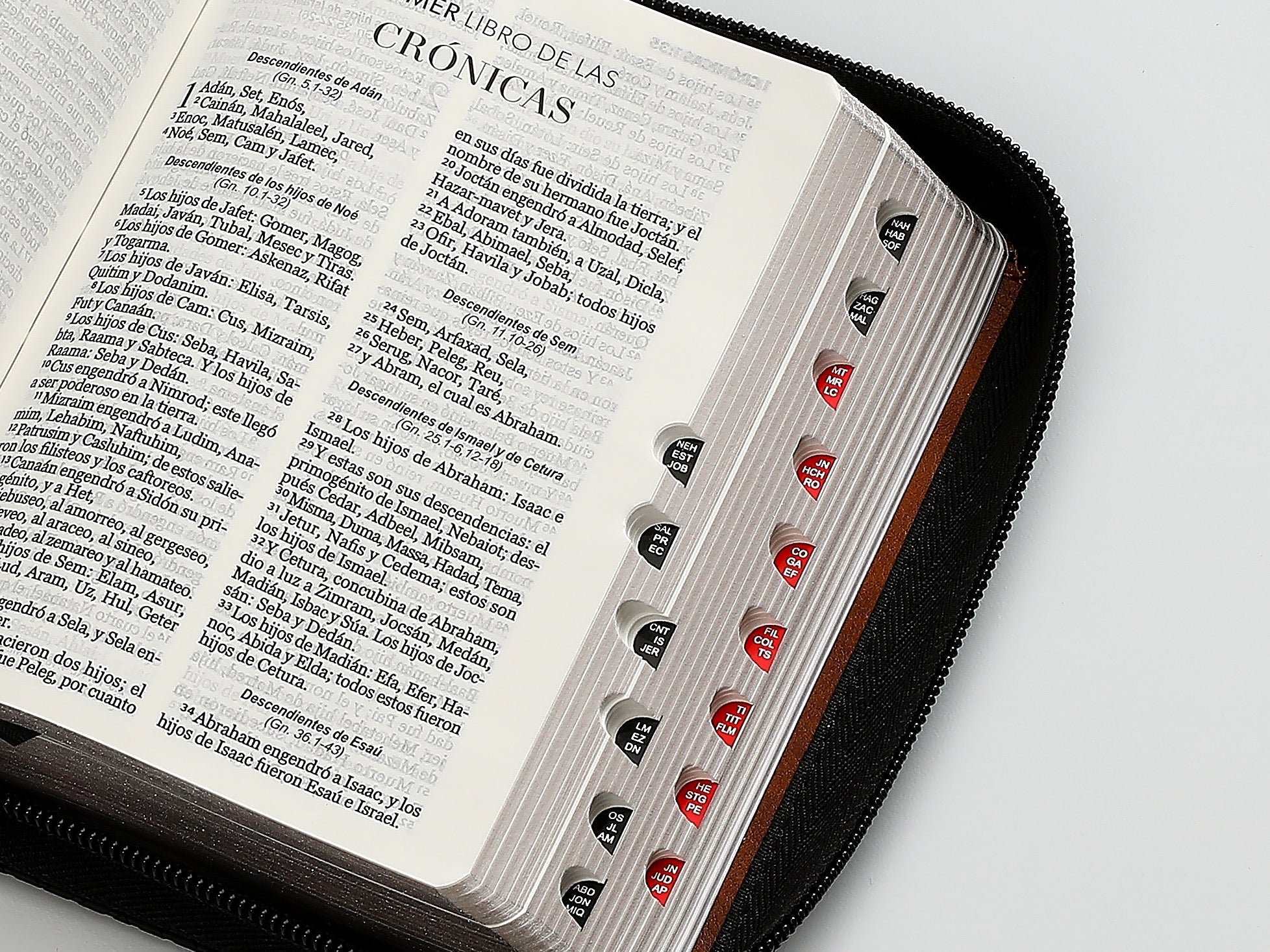 Biblia RVR60 Bolsillo i/piel Geométrico Negro