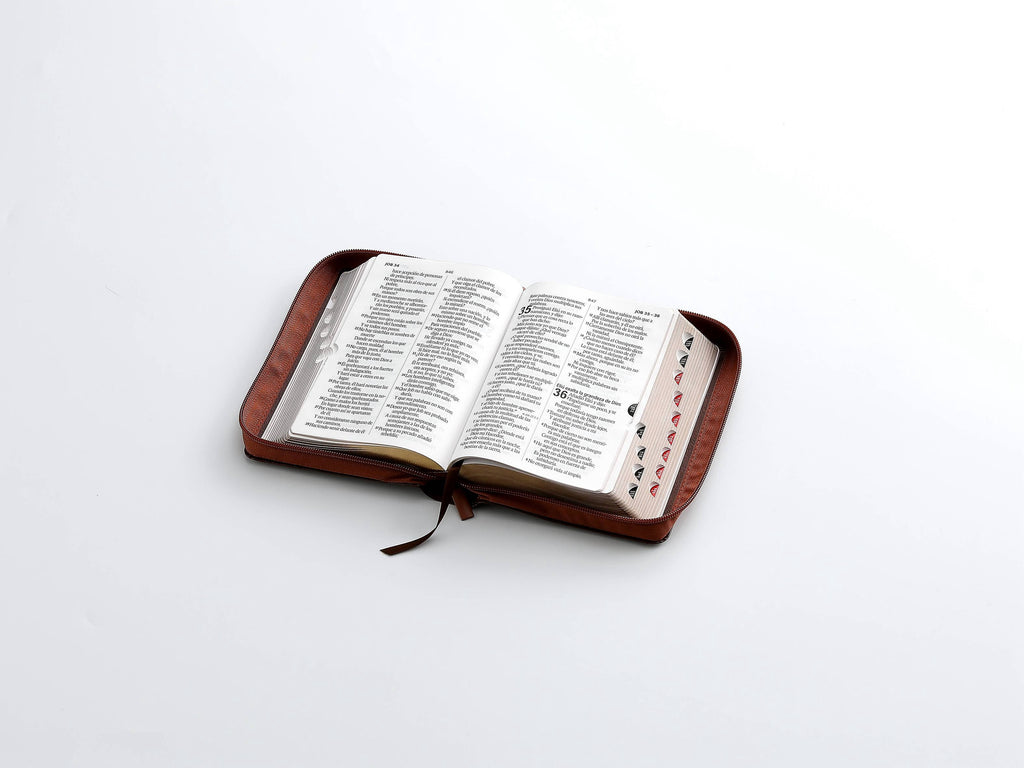 Biblia RVR60 Tamaño compacto Letra Grande 12 puntos