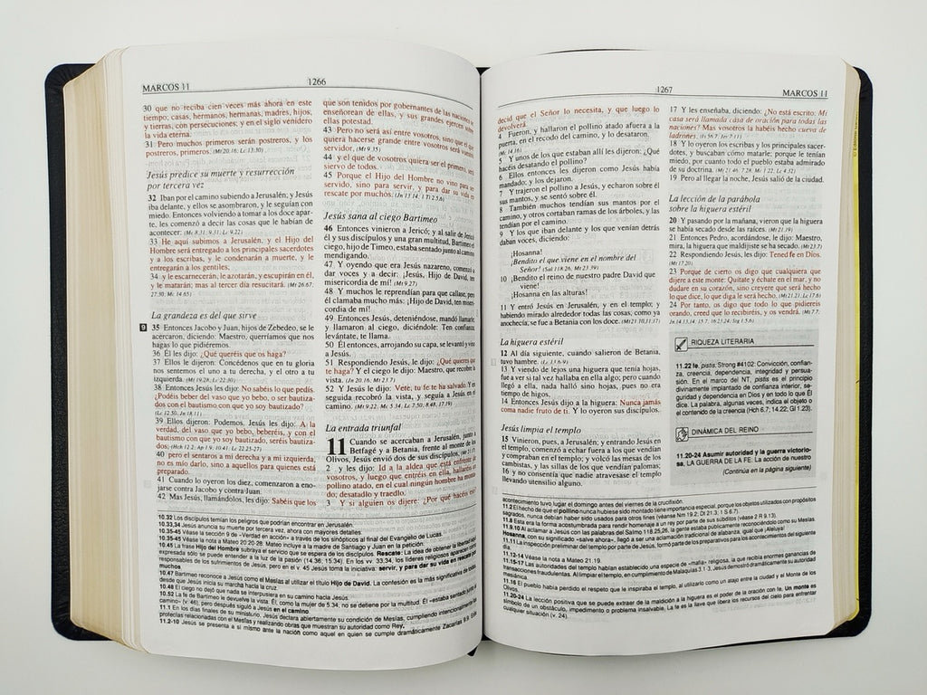 Biblia de estudio Plenitud RVR60 Imitación Piel Negro
