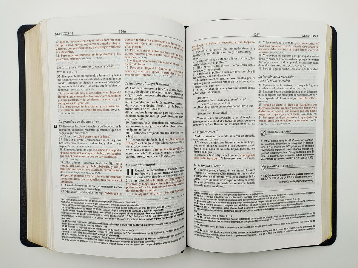 Biblia de estudio Plenitud RVR60 Imitación Piel Negro