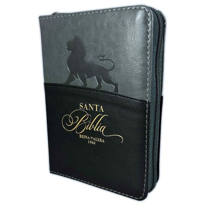 Biblia RVR60 bolsillo Expressión Negro