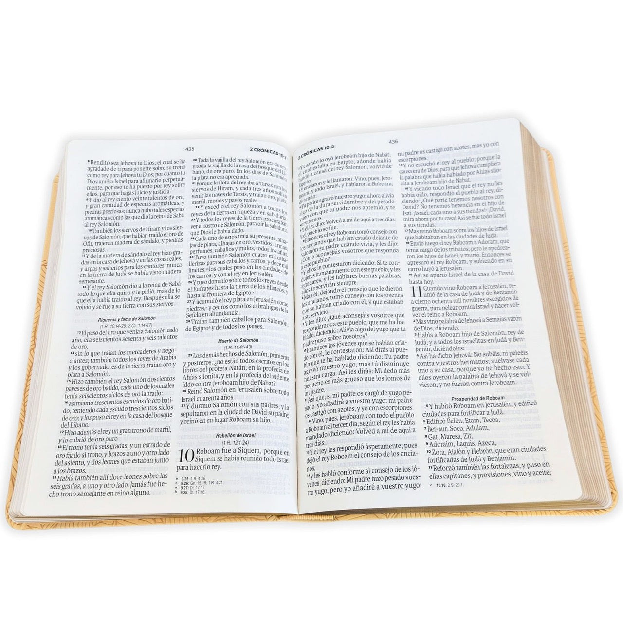 Biblia RVR60 Obsequios y premios BEIGE