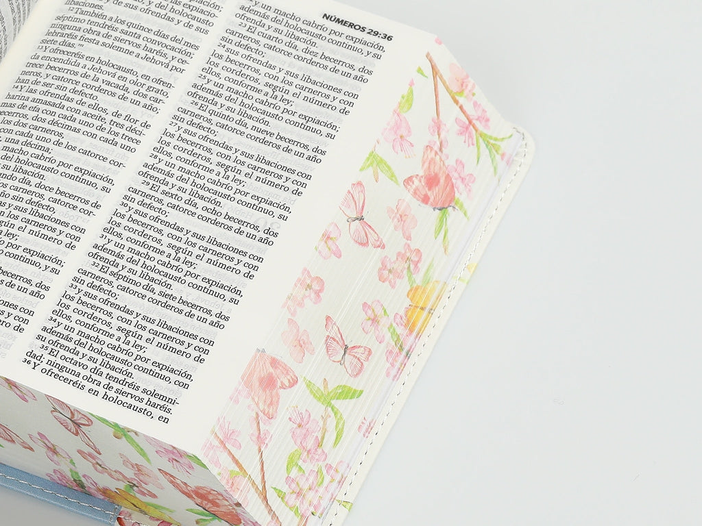 Biblia RVR60 bolsillo i/piel Renovación Azul