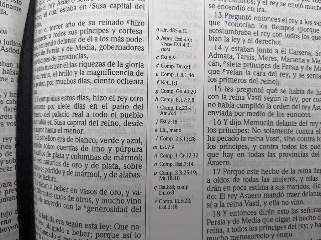 Biblia de Estudio Scofield RVR60 Piel Fabricada Negro con indice