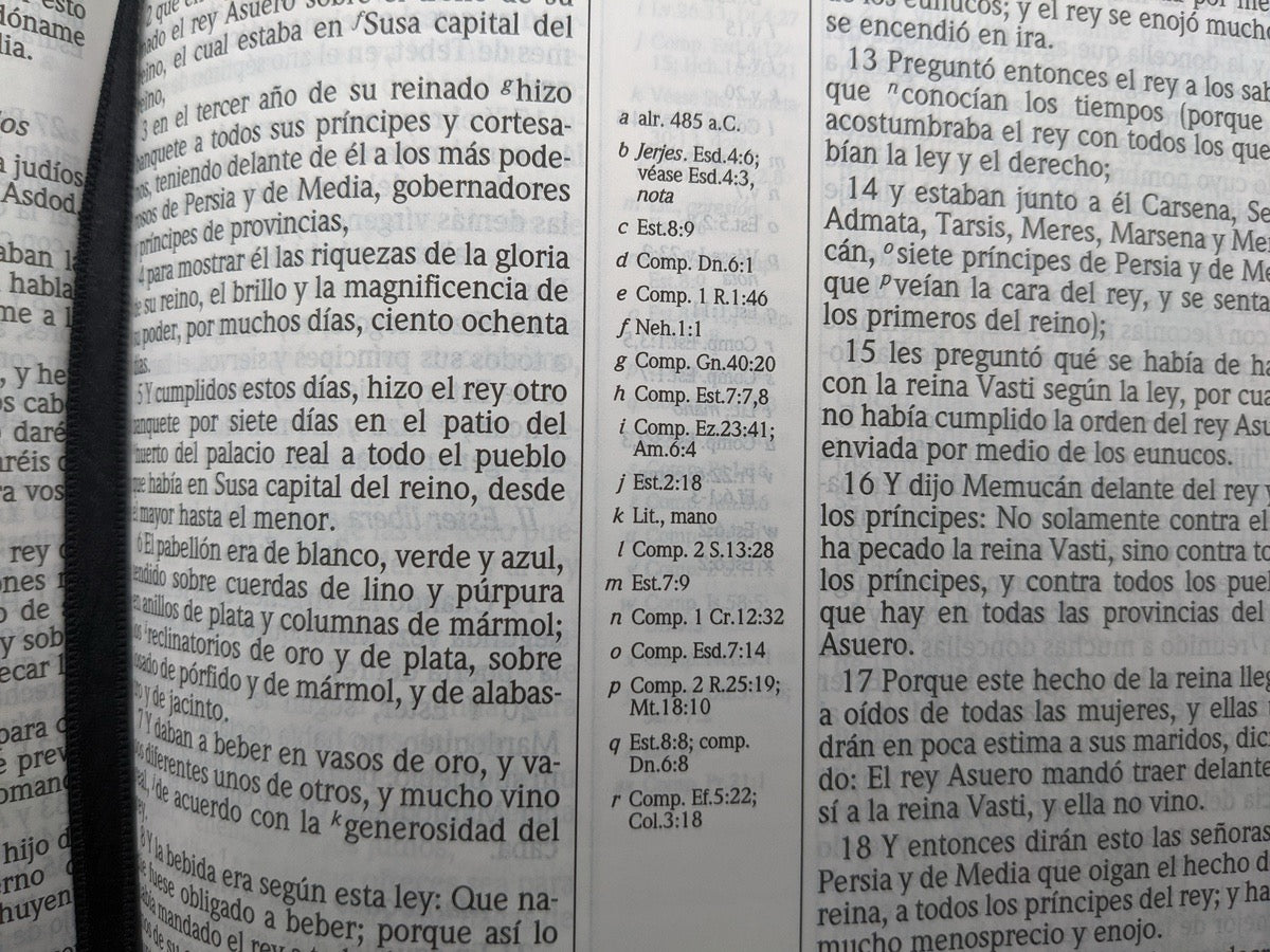 Biblia de Estudio Scofield RVR60 Piel Fabricada Negro con indice