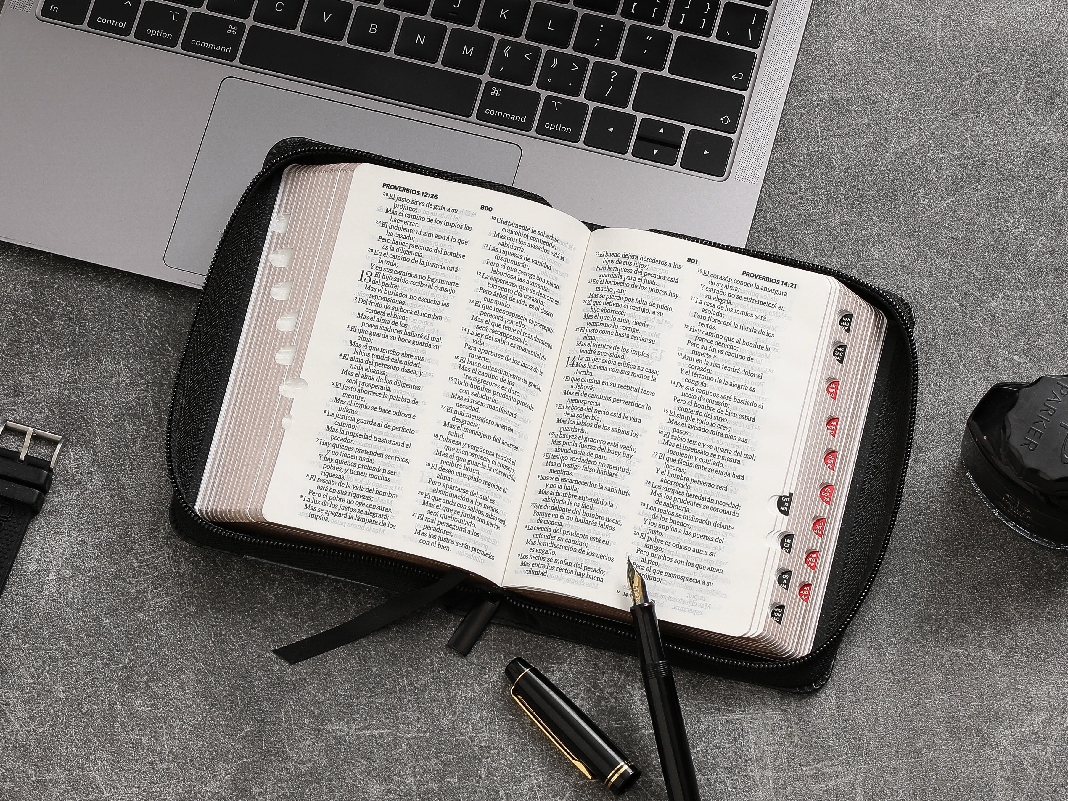 Biblia RVR60 bolsillo Expressión Negro