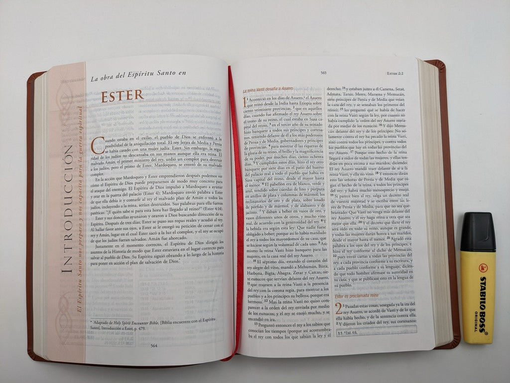 Biblia RVR 1960 para la Guerra Espiritual Imitación Piel Marrón