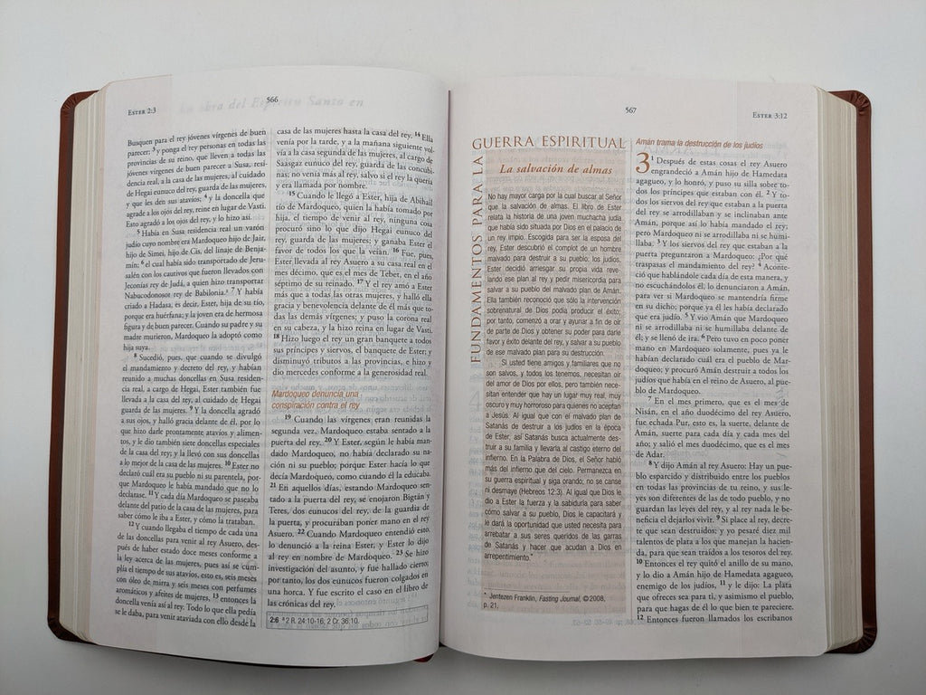 Biblia RVR 1960 para la Guerra Espiritual Imitación Piel Marrón