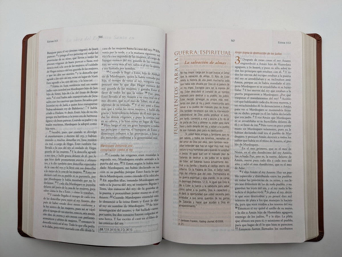 Biblia RVR 1960 para la Guerra Espiritual Imitación Piel Marrón