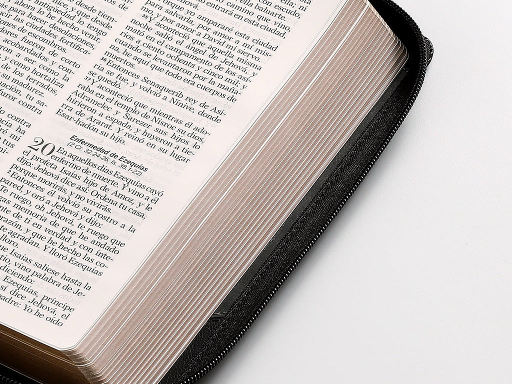 Biblia RVR60 Tamaño Manual Letra Grande  cierre