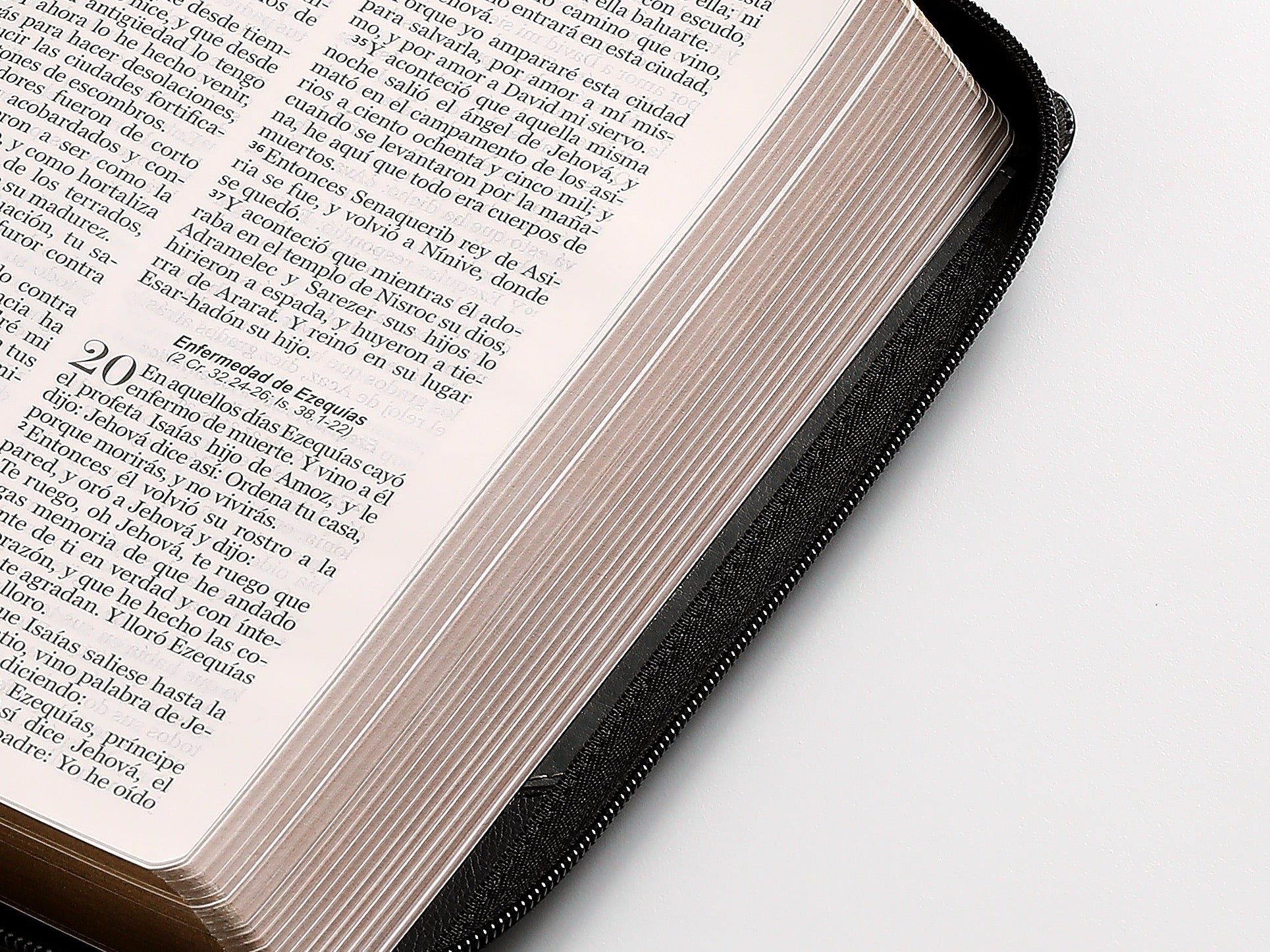 Biblia RVR60 Tamaño Manual Letra Grande  cierre