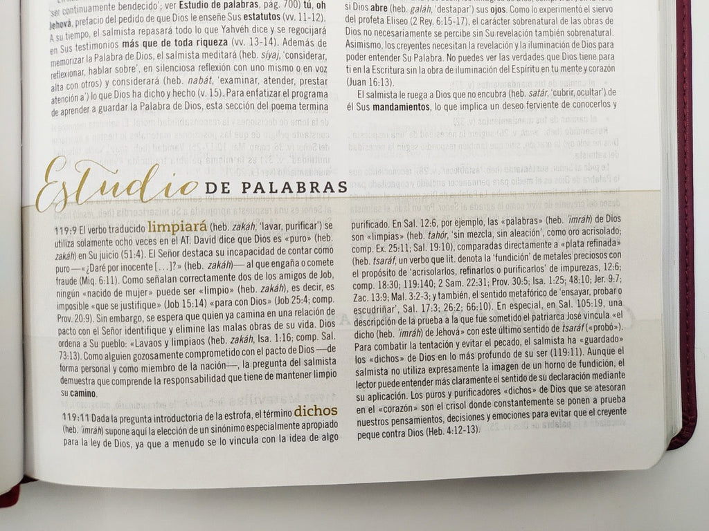 Biblia de Estudio para Mujeres RVR60 piel