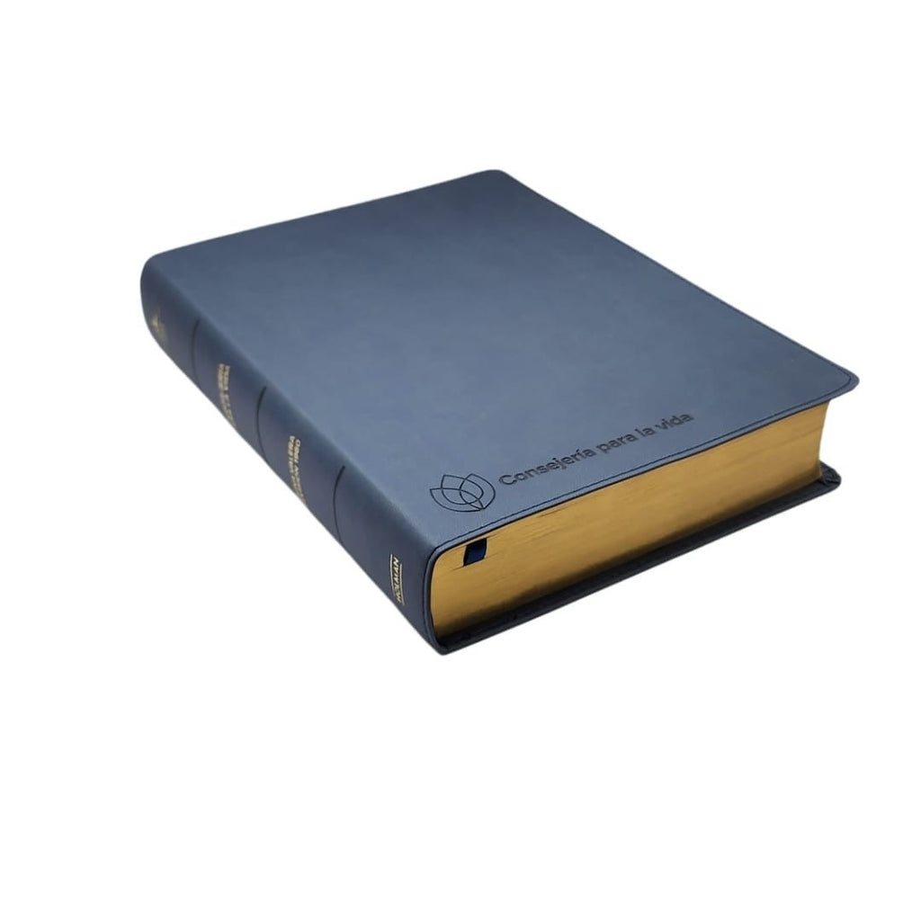 Biblia RVR 1960 Consejería para La Vida Azul Pizarra Símil Piel