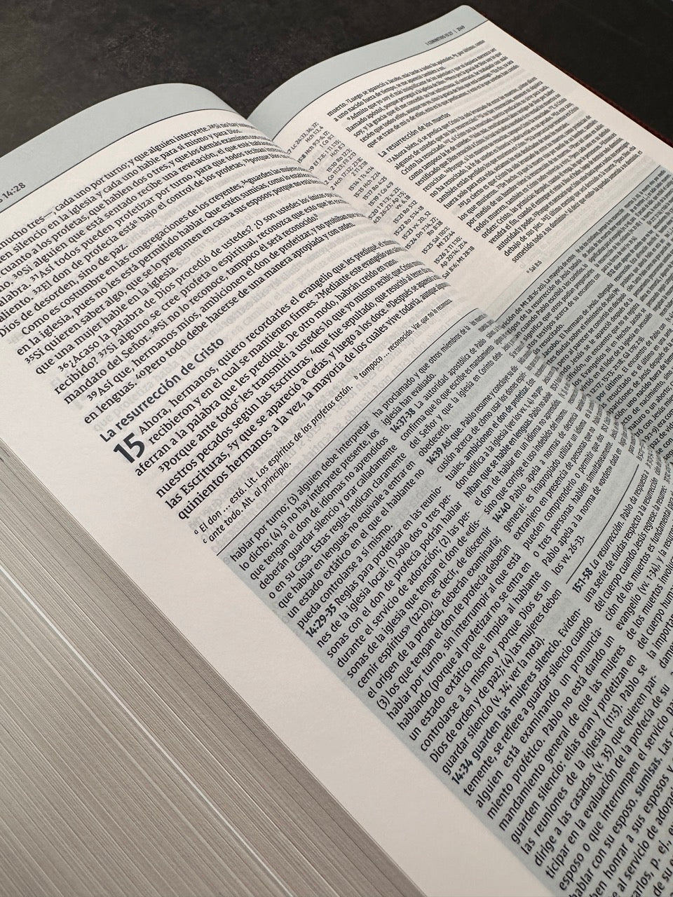 Biblia de estudio Teología Bíblica NVI i/piel marrón