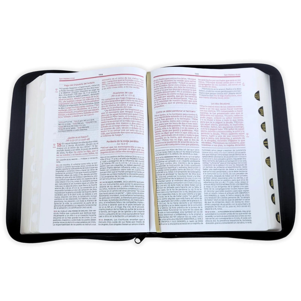 Biblia RVR 1960 de Estudio de la Vida Plena Edición Clásica Piel Negro con Índice y Cierre