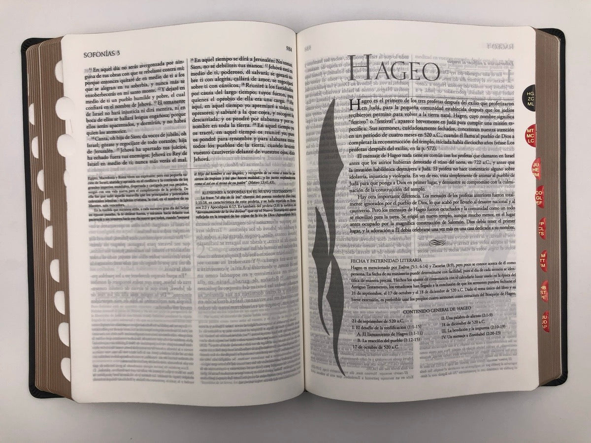 Biblia RVR 1960 de Estudio Explicada Negro