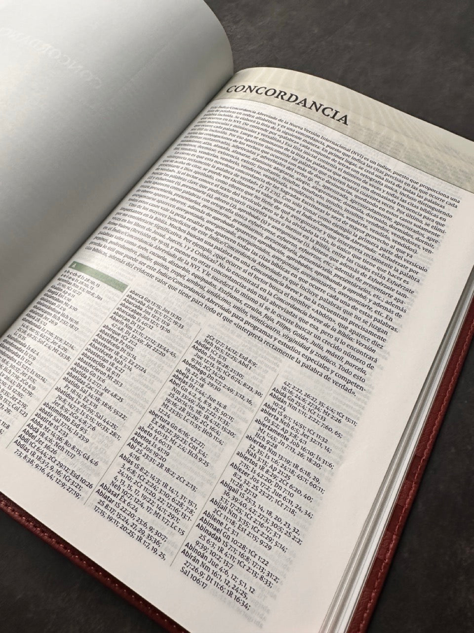 Biblia de estudio Teología Bíblica NVI i/piel marrón