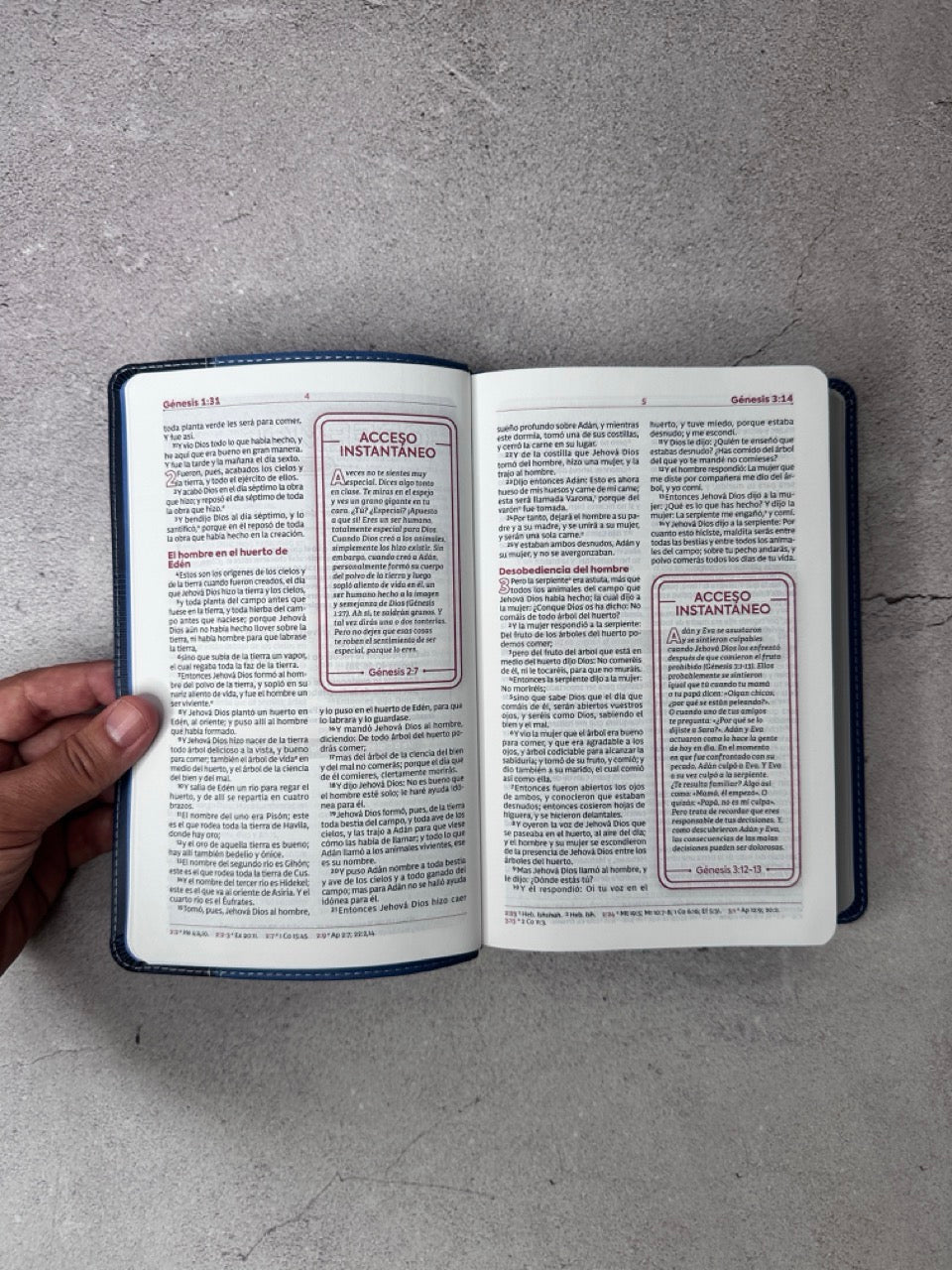 Biblia de estudio para jóvenes y adolescentes, RVR60,