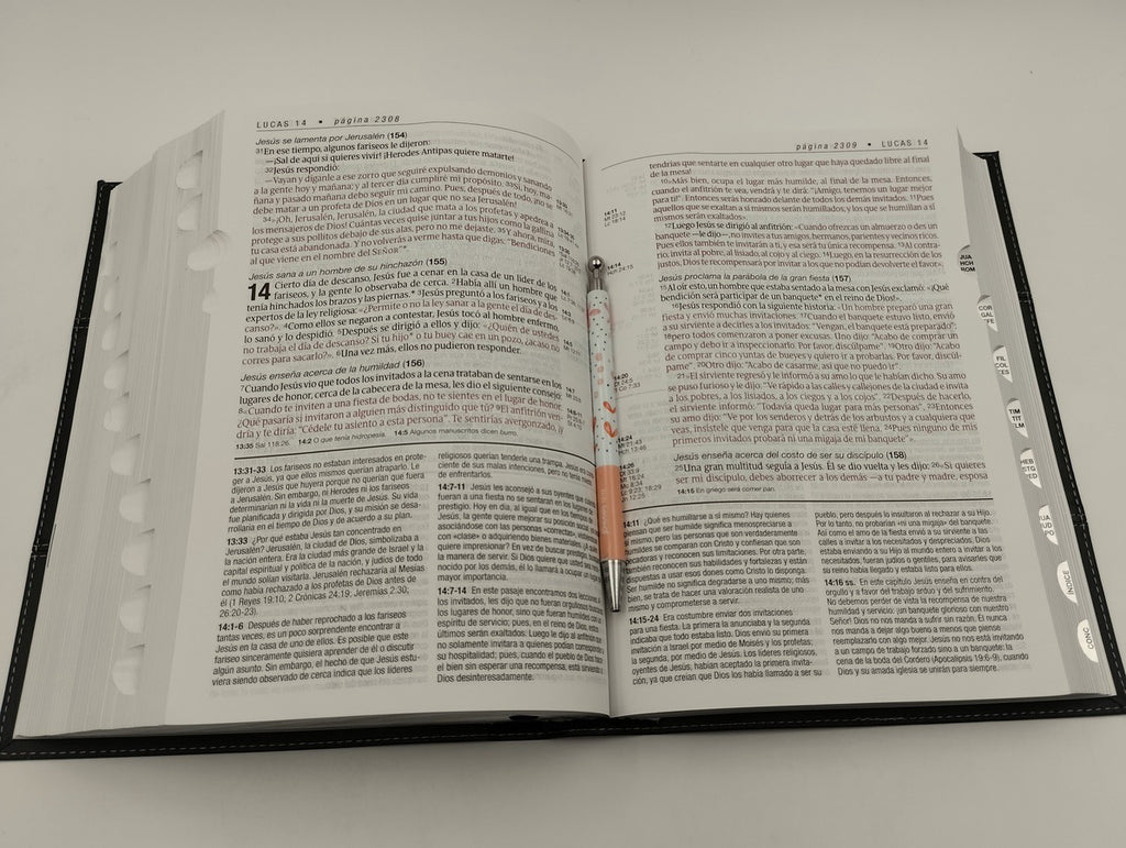 Biblia NTV de Estudio Diario Vivir Letra Grande Símil Piel Negro con Índice