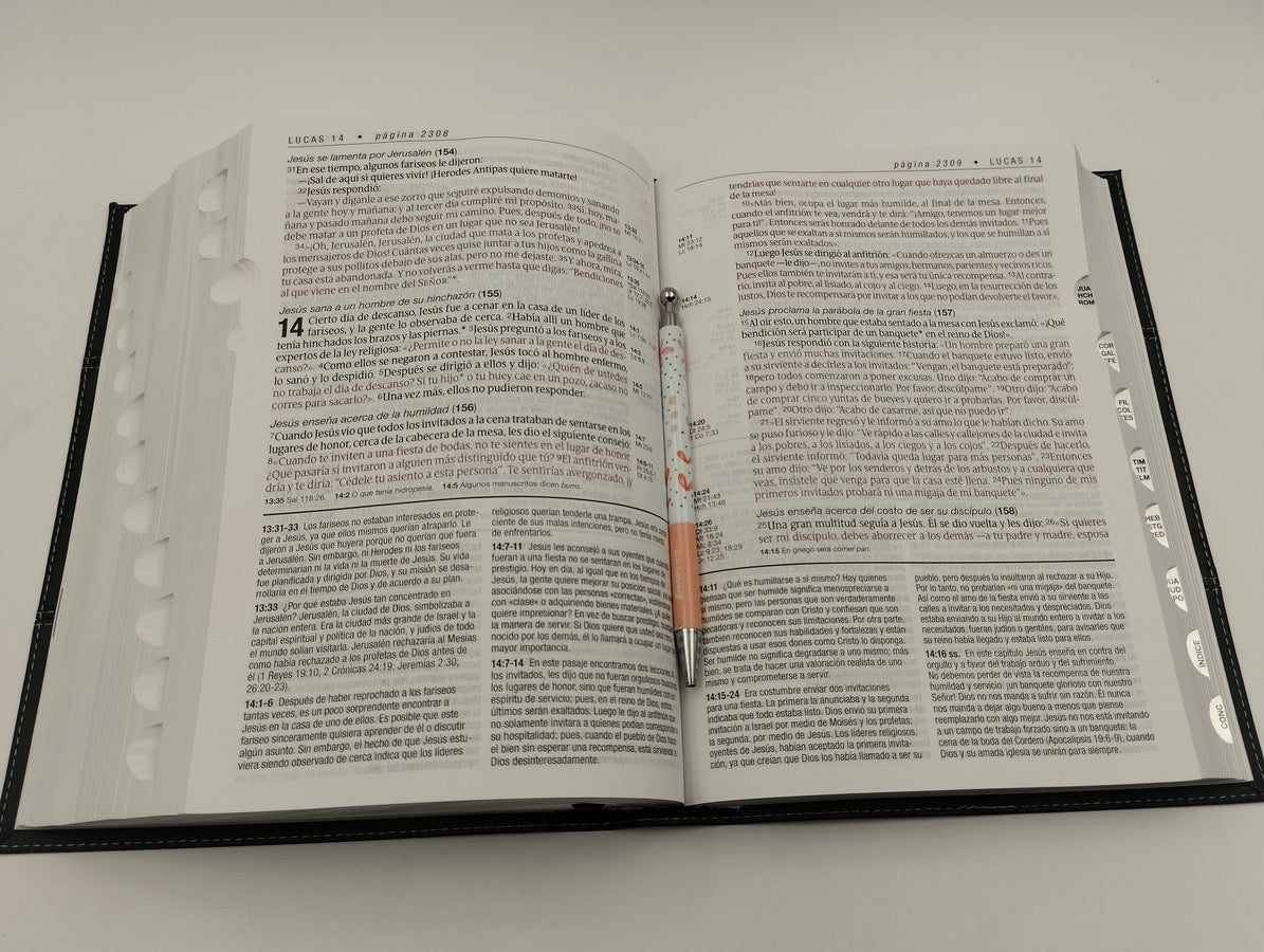 Biblia NTV de Estudio Diario Vivir Letra Grande Símil Piel Negro con Índice