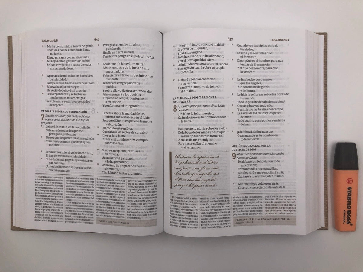Biblia RVR 1960 de Estudio Spurgeon Marrón
