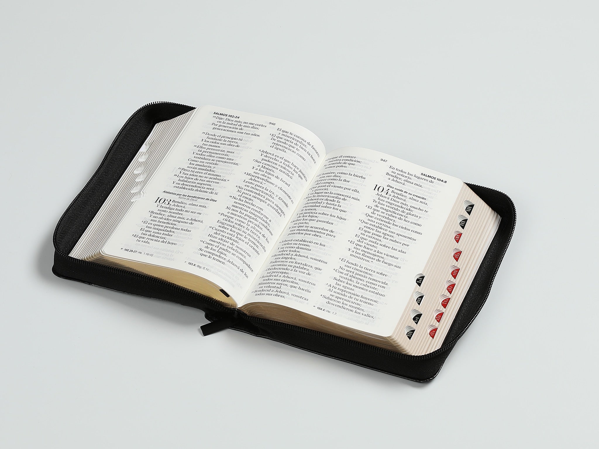 Biblia RVR60 portátil Letra Grande 11 puntos con cierre indice espada