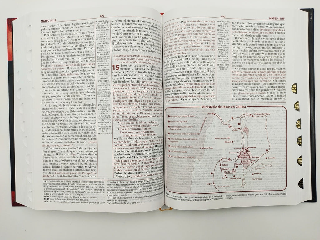 Biblia de estudio Ryrie Ampliada RVR60 Tapa Dura con índice