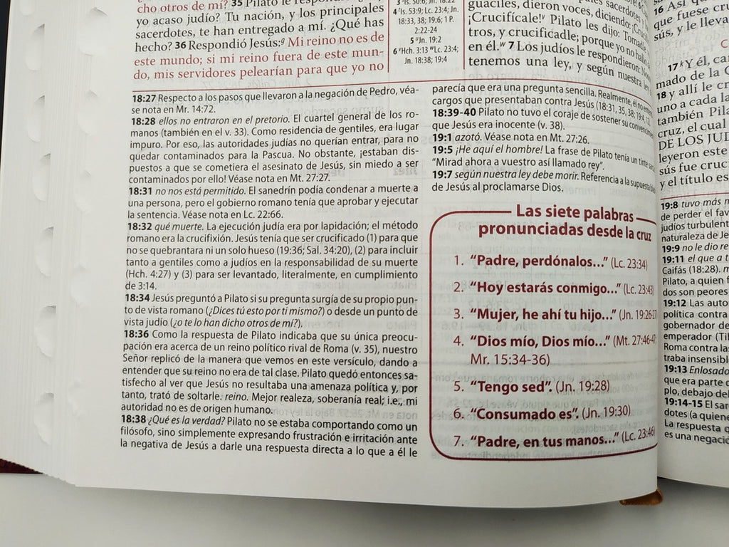 Biblia de estudio Ryrie Ampliada RVR60 Tapa Dura con índice