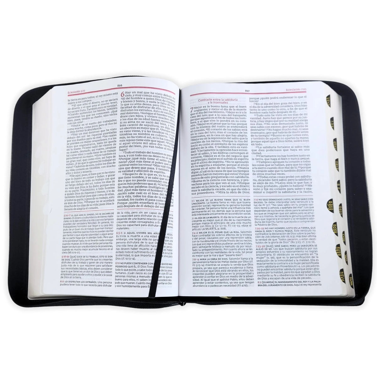Biblia RVR 1960 de Estudio de la Vida Plena Edición Clásica Piel Negro con Índice y Cierre