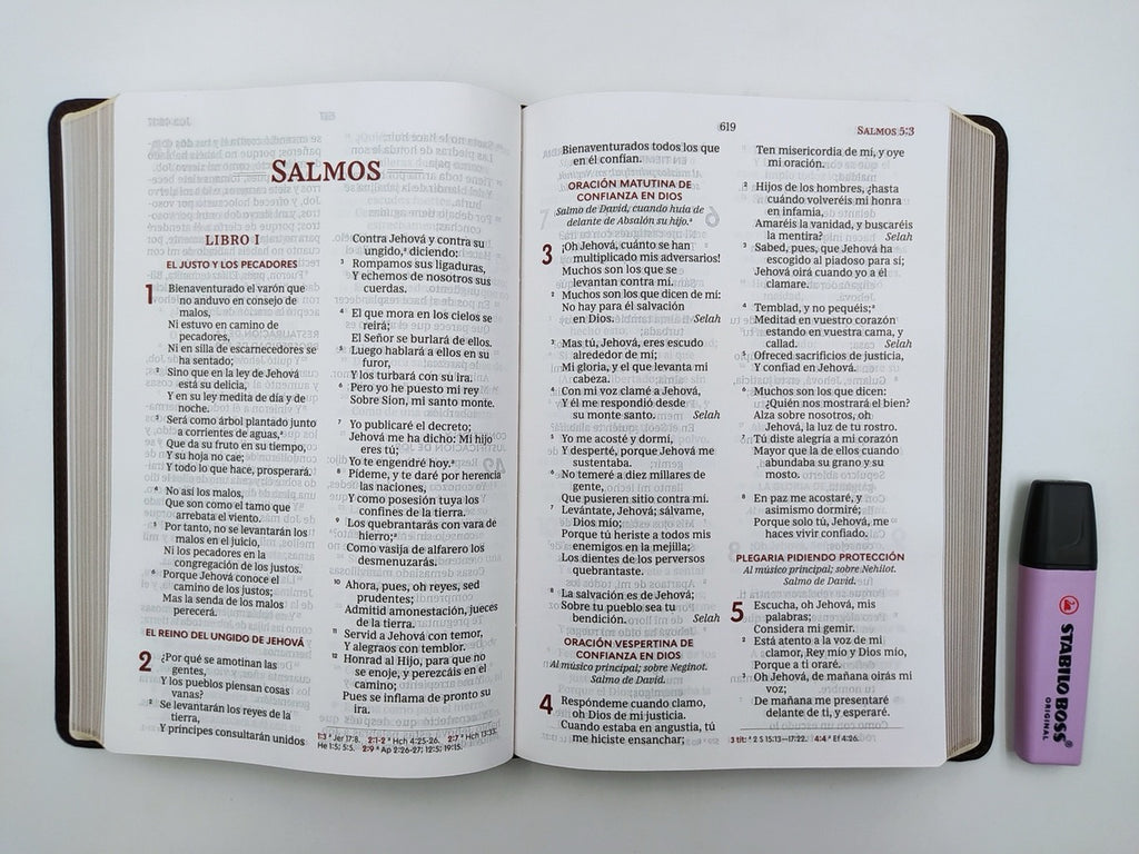 Biblia RVR 1960 Ultrafina Letra Gigante Piel Café Interior