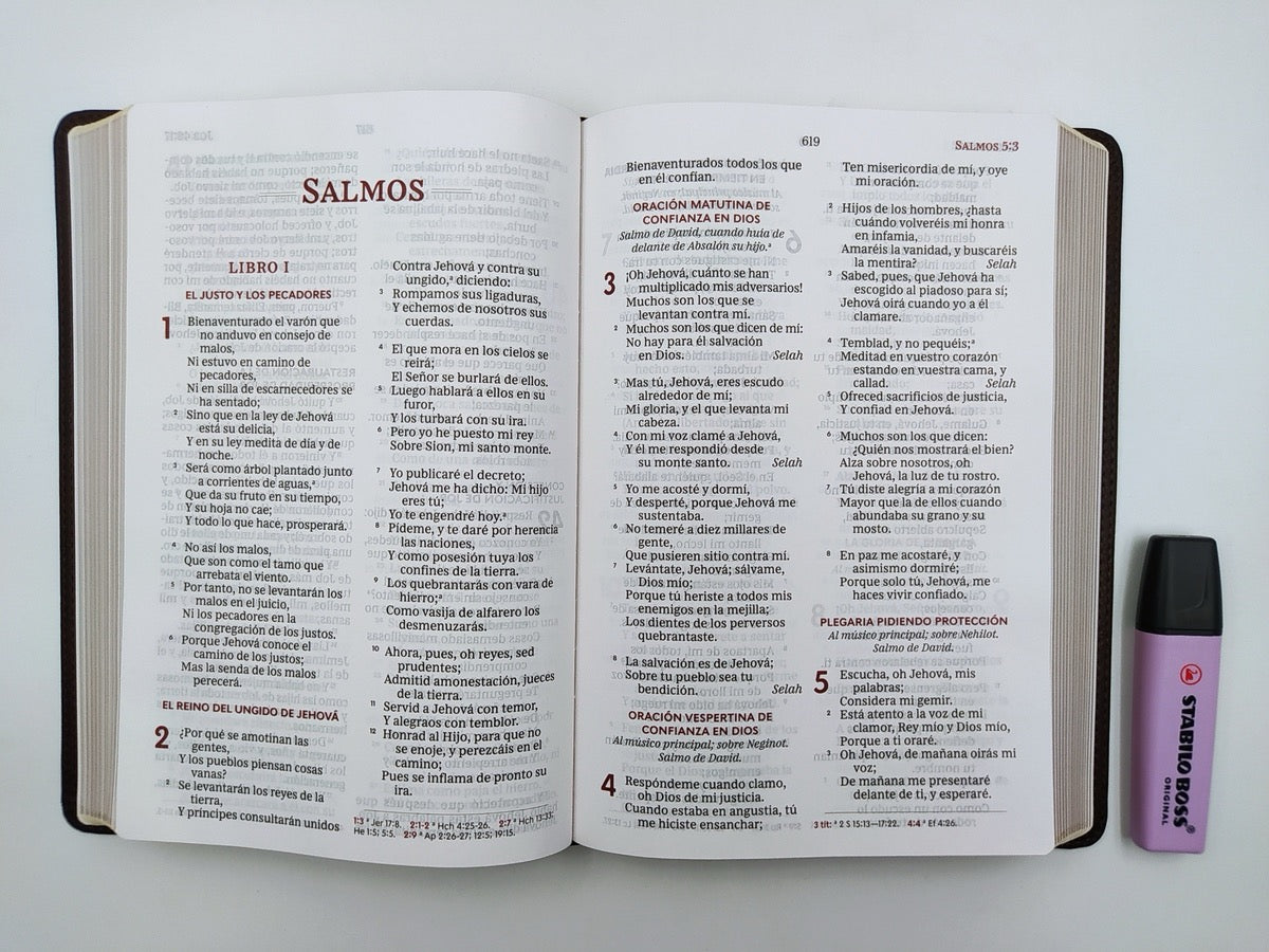 Biblia RVR 1960 Ultrafina Letra Gigante Piel Café Interior