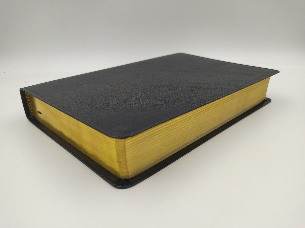 Biblia de estudio Plenitud RVR60 Imitación Piel Negro
