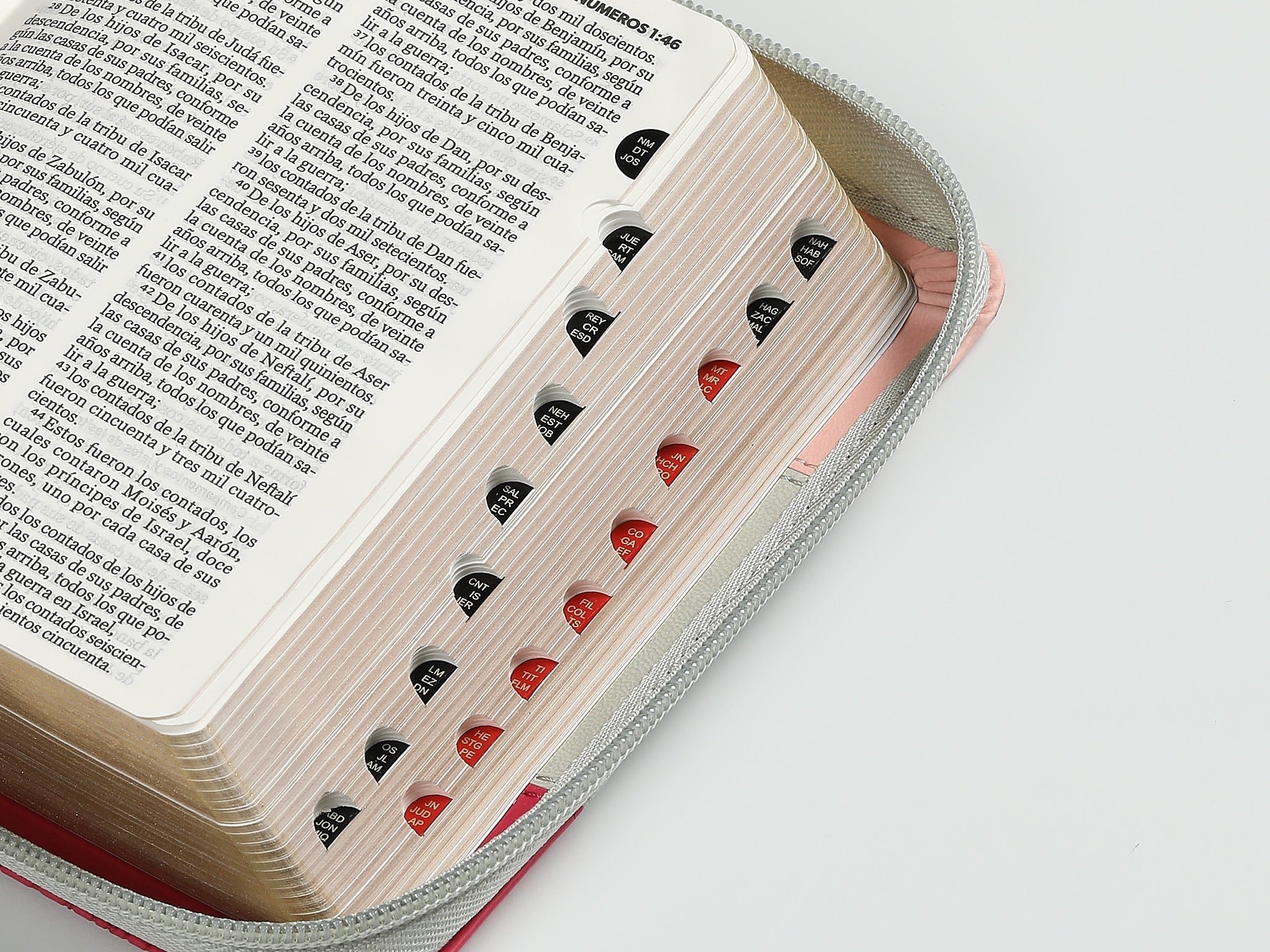 Biblia RVR60 Bolsillo i/piel Tricolor Rosa